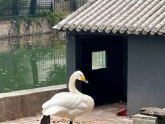 -钓鱼台国宾馆