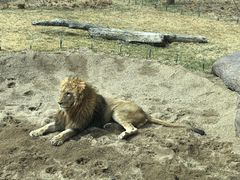 -北京野生动物园