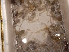 -拉完海鲜大排档(温岭店)