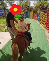 -萌宠亲子动物乐园(槐房万达店)