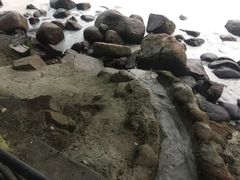 -小南山公园