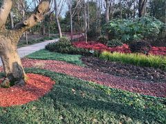 -吴淞炮台湾湿地森林公园烧烤区