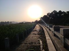 -江心屿景区