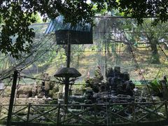 -吉隆坡雀鸟公园