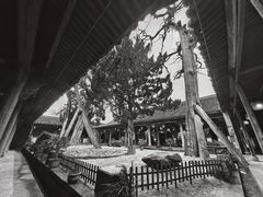 -江南第一家