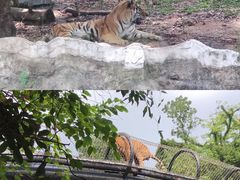 -深圳野生动物园