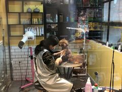 -西元前宠物酒店(郑庄府邸店)