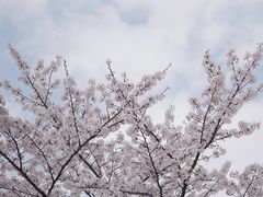 -龙美术馆(西岸馆)