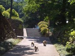 -湖州龙王山景区