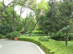 -迎泽公园