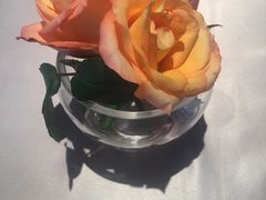 -芙蓉堂(武汉天地店)