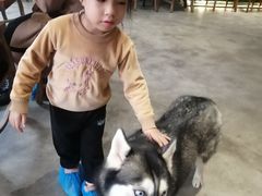 -more than meow吴止猫主题餐厅(承德 中船汇店)