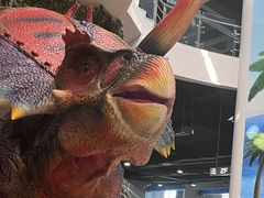 -辽宁古生物博物馆