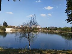 -眉山湿地公园(东坡区)