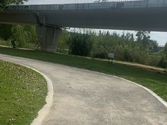 -白鹭湾湿地公园