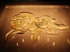 -青海藏文化博物院