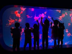 -全优加早教·托育(金沙御苑校区)