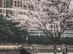 -西北湖绿化广场