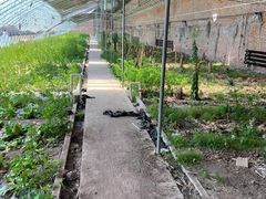 -万源龙顺度假庄园生态观光园