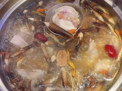 鲜人参锅底-千岛蚝高压锅生蚝·人参火锅(白云万达店)