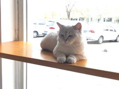 -青春加萌照相馆