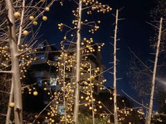 -肯德基(丁香店)