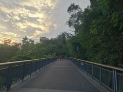 -金鸡山公园