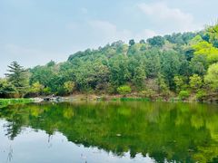 -香山公园