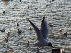 -海埂大坝