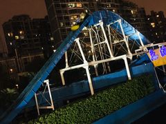 -锦江乐园舞狸花花游园会(夜场专享)