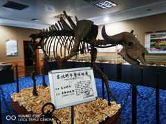 -大连铭湖国际观光牧场