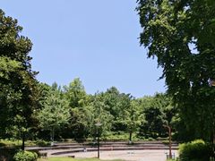 -重庆彩云湖湿地公园