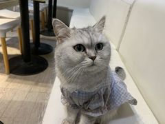 -小时光咖啡馆(北锣鼓巷店)