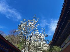 -红螺寺