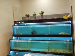 -后宫私房菜(汇客美食娱乐广场店)