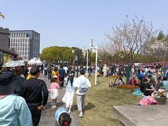 -糕潮(森兰店)