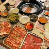 是我最爱的蚂蚁洞啊!!!