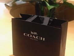 -COACH蔻驰(双安商场店)
