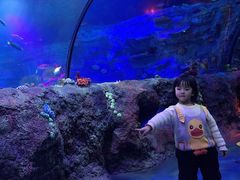 -沈阳海洋探索中心