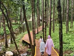 -洛阳白云山景区