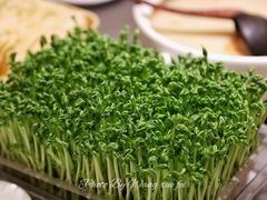 -好彩猪肚鸡(正弘城店)