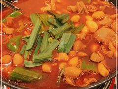 -湘肠香火锅店(团结湖店)