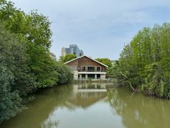 -上海吴淞炮台湾国家湿地公园