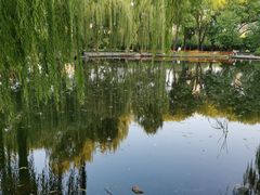 -玲珑塔公园