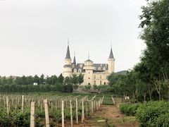 -北京张裕爱斐堡酒庄