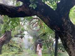 -Chom Cafe and Restaurant