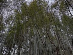 -黄山翡翠谷景区