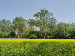 -北坞公园