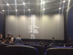 iphone_upload_pic-南宁时代电影大世界(CGS激光中国巨幕)
