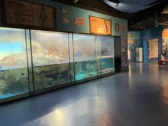 -海合安武汉极地海洋公园